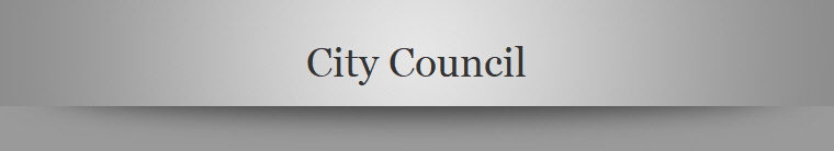 City Council